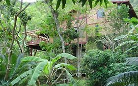 Casa das Árvores
